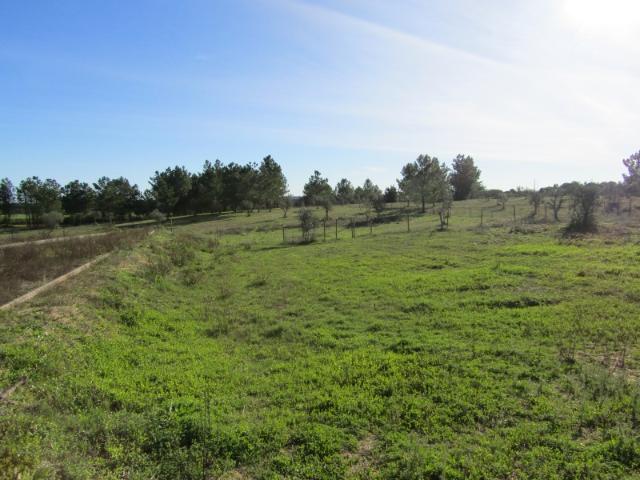Lotes para Construção preço por lote: 32 500 €