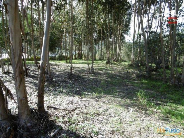 lote para moradia | 26062944674