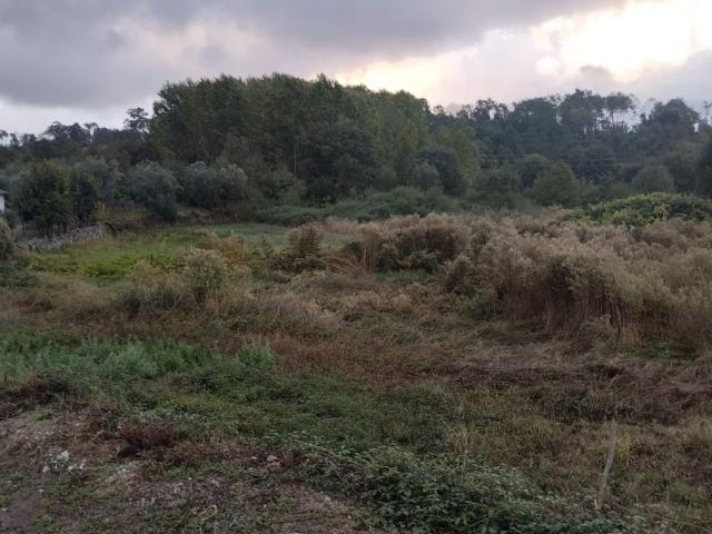 Lote para moradia em Cavernães