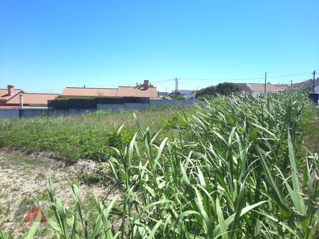 Lote para moradia individual, para venda, Torres Vedras Silveira