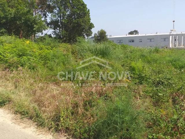 Lote para Moradia Isolada na Madalena