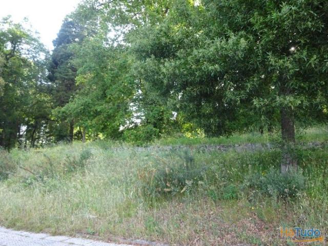 LOTE P/CONSTRUÇÃO ? 635 m2 ? OLIVEIRA DE FRADES | 26083342681