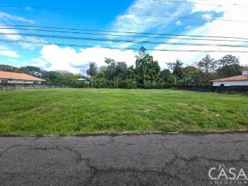 Lote Plano de Primera en Venta en San Antonio, David