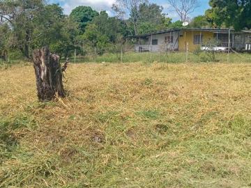 Lote Plano De 1,301.32 M² En Mata El Frances, Alto Boquete
