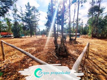 Lote Plano 1000m2, Condominio Huallilemu El Quisco