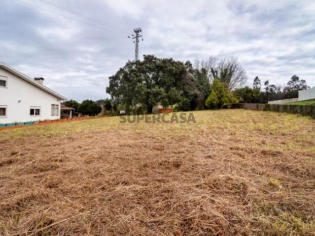 Lote Salreu