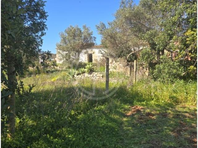 Lote, Santa Bárbara de Nexe, Faro | BPI Expresso Imobiliário