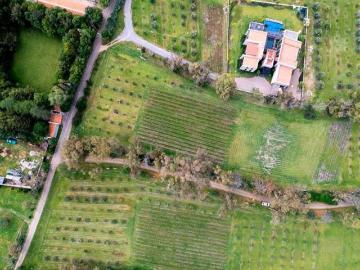 LOTE SANTA JULIETA