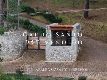 Lote Tapalpa Cardo Santo Muy boscoso de oportunidad