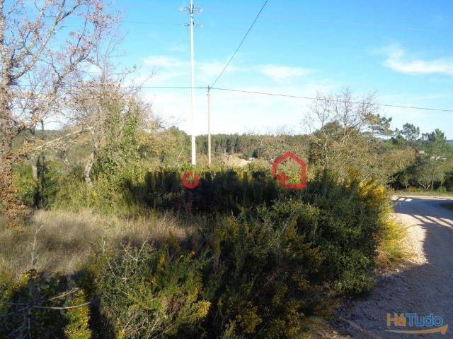 Lote Terreno | 26083250788