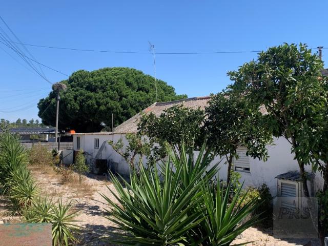 Lote Terreno em Carvalhal