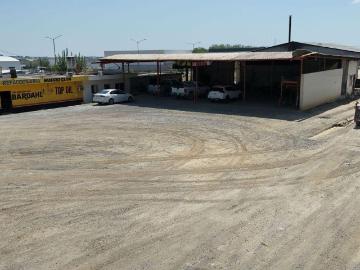 Lote / Terreno en Renta en Los Sabinos