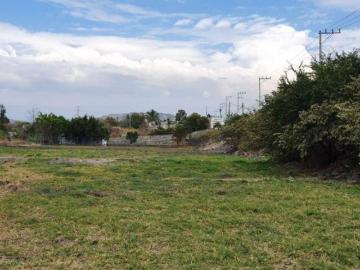 Lote / Terreno en Venta en Loma Bonita