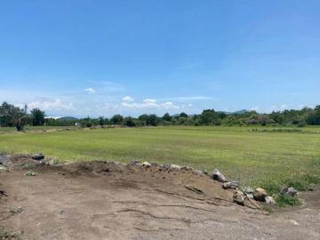 Lote / Terreno en Venta en Loma Bonita