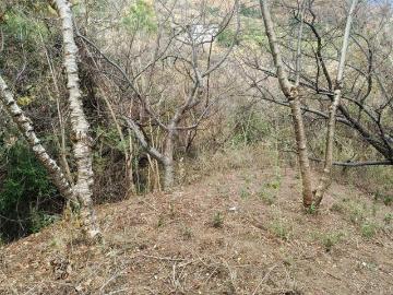 Lote / Terreno en Venta en Santa Cruz Viejo