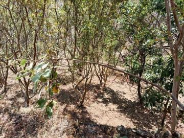 Lote / Terreno en Venta en Santa Cruz Viejo