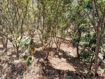Lote / Terreno en Venta en Santa Cruz Viejo