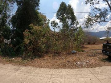 Lote / Terreno en Venta en Santa Cruz los Pilares