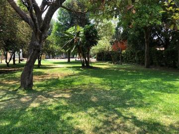 Lote / Terreno en Venta en Ticuman