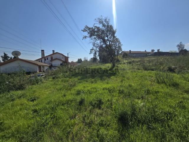 Lote terreno p/ construção várias possibilidades Águeda