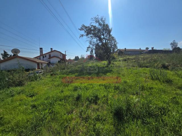 Lote terreno p/ construção várias possibilidades Águeda