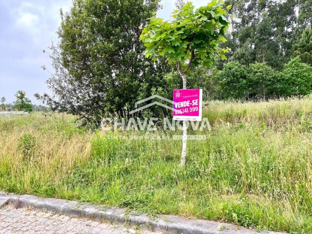 Lote Terreno p/Moradia em Banda São Miguel de Souto