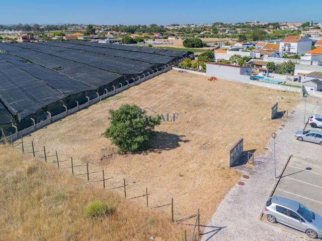 Lote terreno para construção na Broega Montijo
