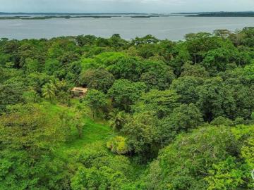 lote Títulado De 8,659 M² Con Manantial Y Estructura En Bocas Del Toro