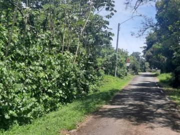 Lote tranquilo pero céntrica en Las Lajas, a 10 minutos de la playa