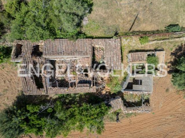 Lote Urbano com Terreno Agrícola e Potencial