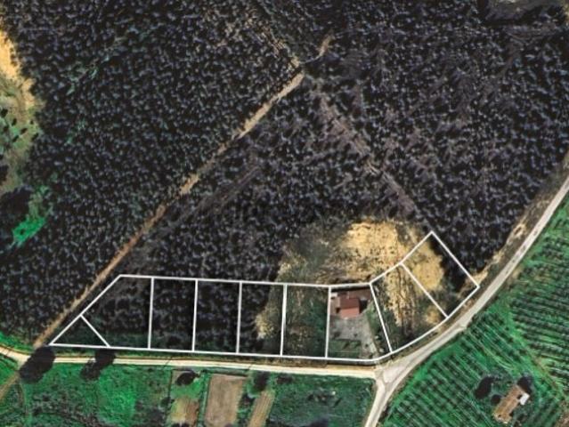 Lote Urbano de 1000m2 para construção em Torres Vedras Outeiro da Cabeça