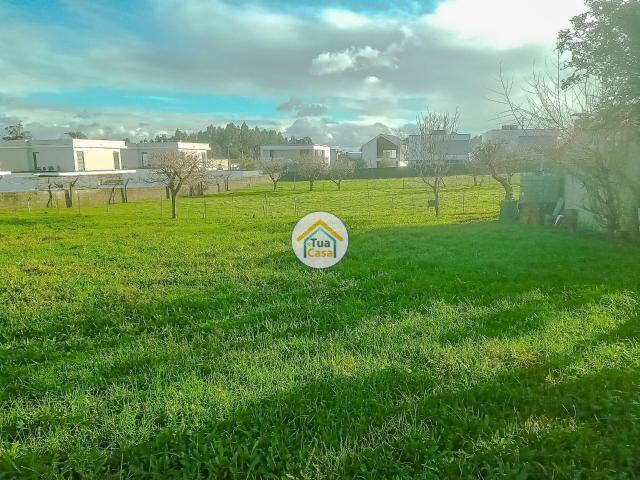 Lote Urbano em Assilhó, Albergaria a Velha