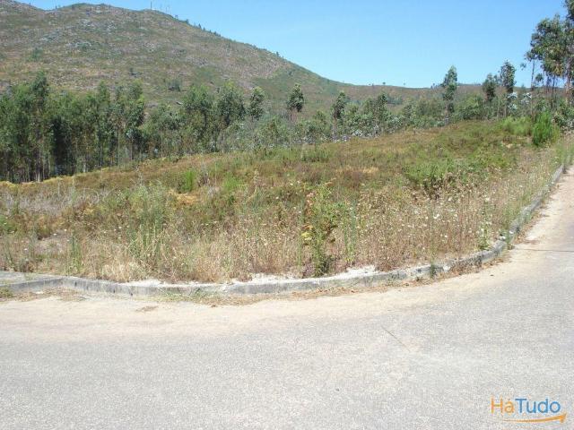 Lote urbano sitio tranquilo bem localizado. | 26063251319