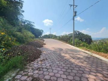 LOTE VIOLETA LOTE 34 1 MZA XVIII RANCHO SAN DIEGO con bonita vista