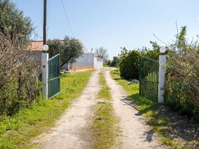 Lote 16750m2, 2 Moradias Isoladas, Furo, Piscina, Armazém, Arvores Fruto, Telheiro, Vinha Foros de Almada