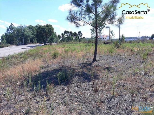 Lote | 26063895709