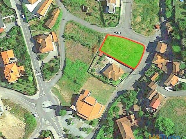LOTE | 26083576418