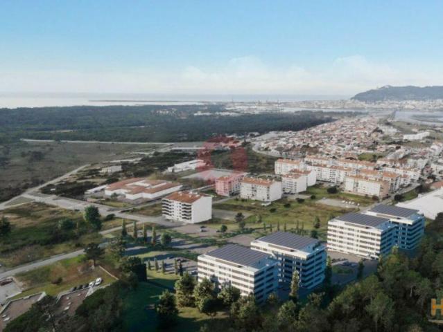 Lote | 26083650068