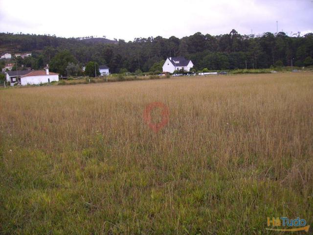 Lote | 26083917740