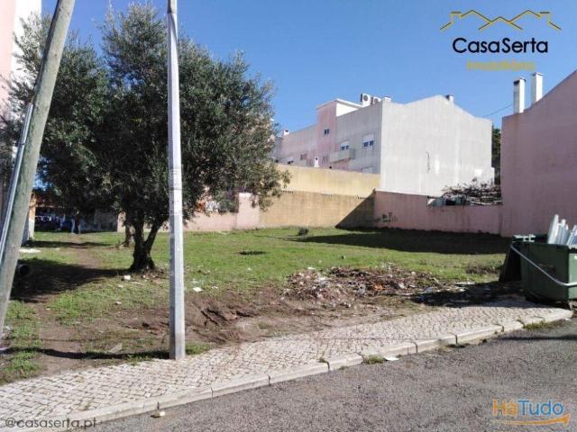 Lote | 26083931687