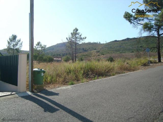 Lote