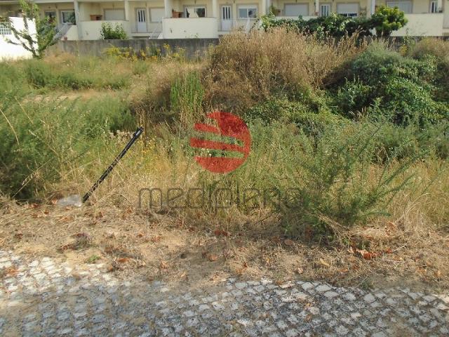 Lote