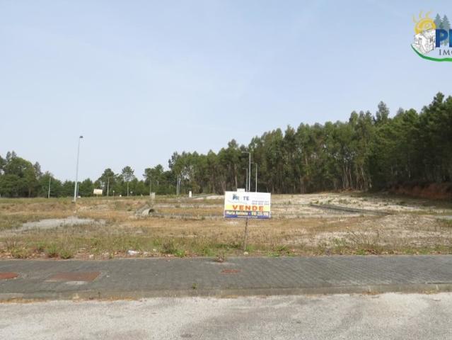 Lote