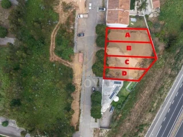 Lote 5 D