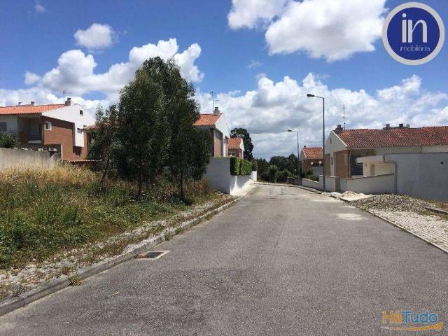 Lote 7 | 26081536758