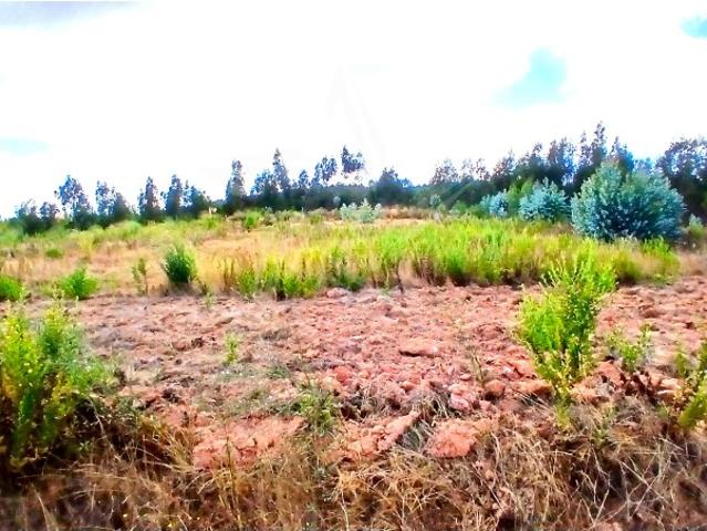 LOTEAMENTO NO OUTEIRO DA CABEÇA TORRES VEDRAS