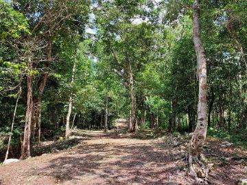 Lotes unifamiliares hasta 48 meses para pagar a 12 minutos de Tulum 1444