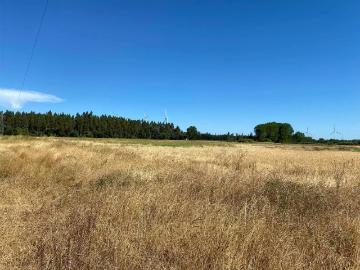 Lotes y Terrenos Mulchén | venta | Se Vende Espectacular Campo. Mulchen 73488: CLP 2861180. 00