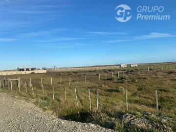Lotes y Terrenos Magallanes & Antártica | venta | Parcela en venta en Sector Norte de Punta Arenas: CLP 35500. 00