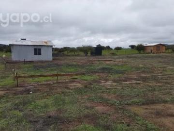 Lotes y Terrenos Marchihue | venta | Linda Parcela: CLP 50000. 00